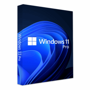 Windows 11 PRO